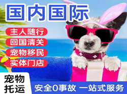 张家界荷花航空快运国际宠物托运 【国